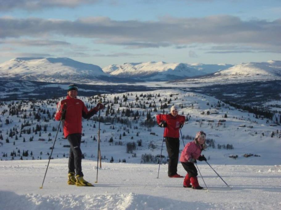 Flott Fritidsleilighet I Bualie Pa Golsfjellet Экстерьер фото