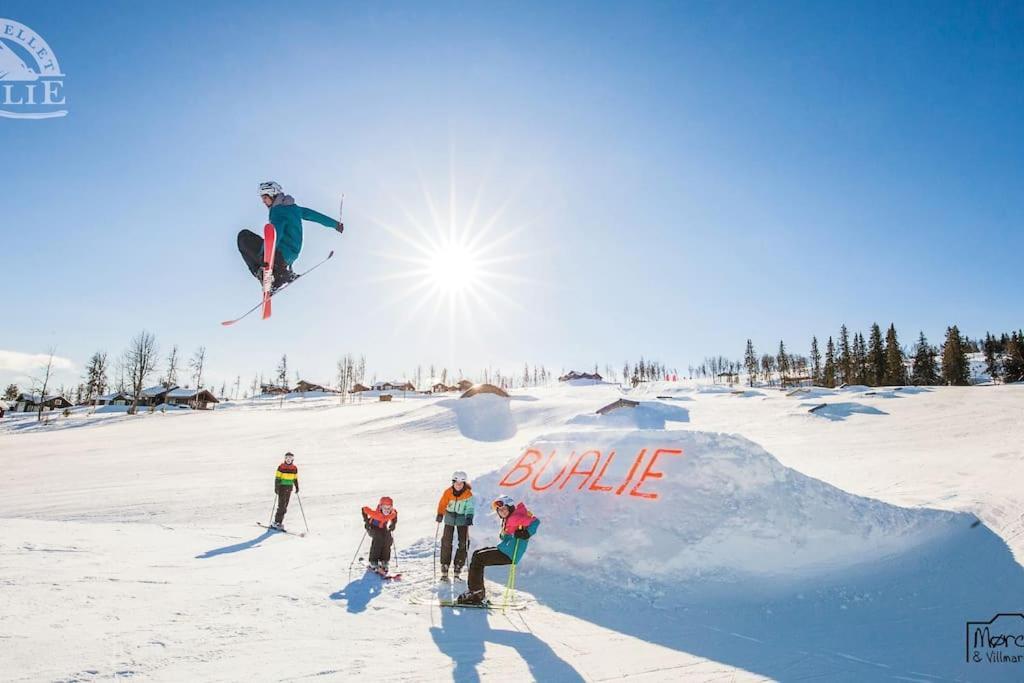 Flott Fritidsleilighet I Bualie Pa Golsfjellet Экстерьер фото