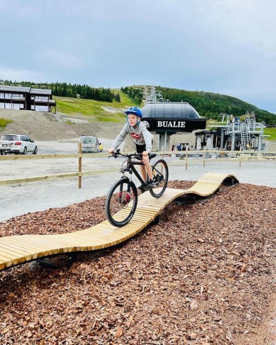 Flott Fritidsleilighet I Bualie Pa Golsfjellet Экстерьер фото
