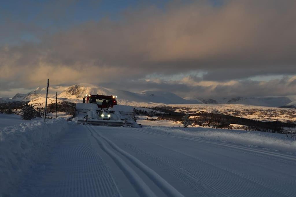 Flott Fritidsleilighet I Bualie Pa Golsfjellet Экстерьер фото