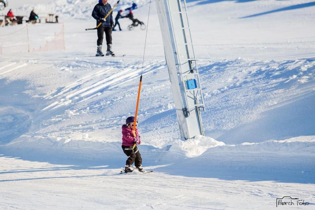 Flott Fritidsleilighet I Bualie Pa Golsfjellet Экстерьер фото